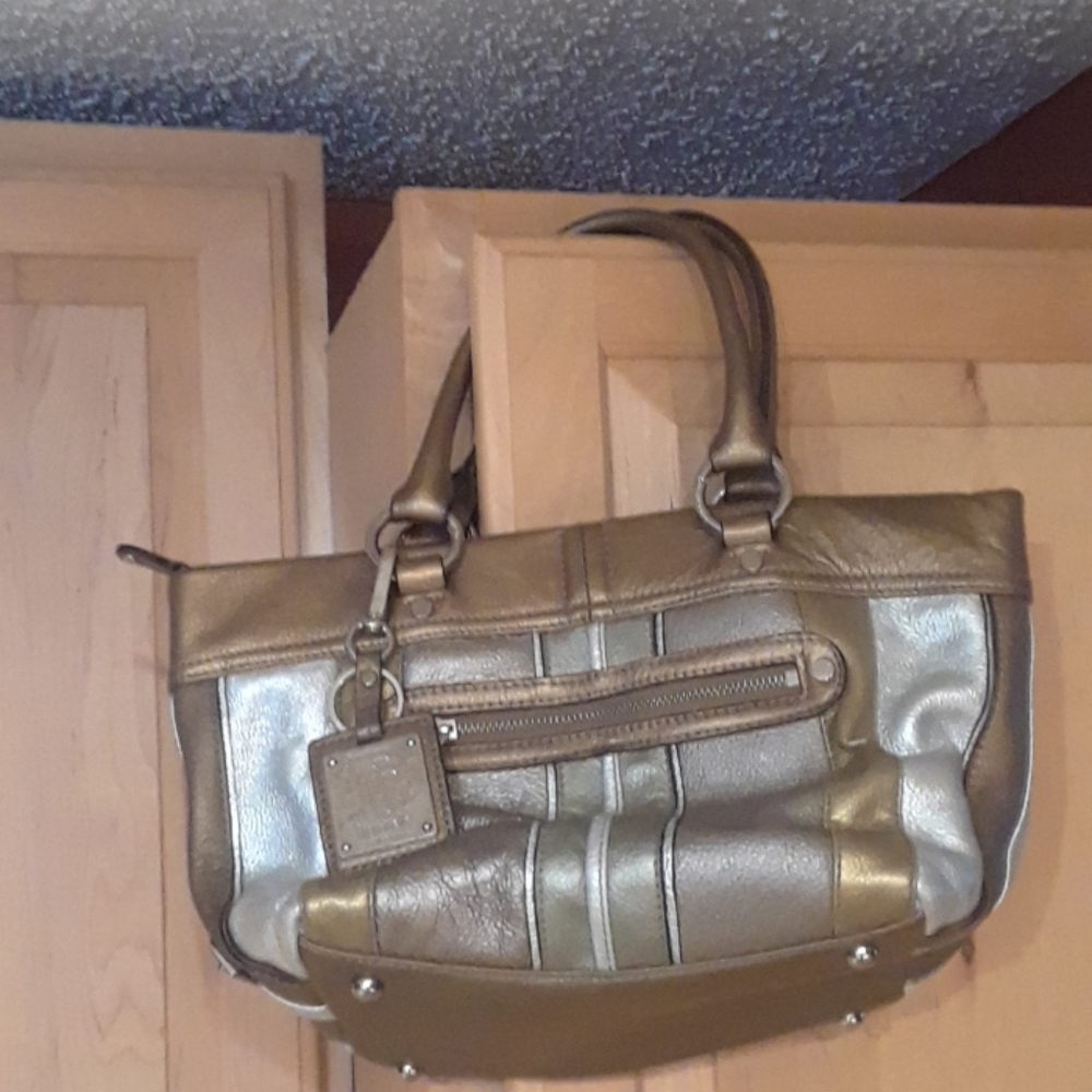 Tignanello Metallic Leather Satchel Bag